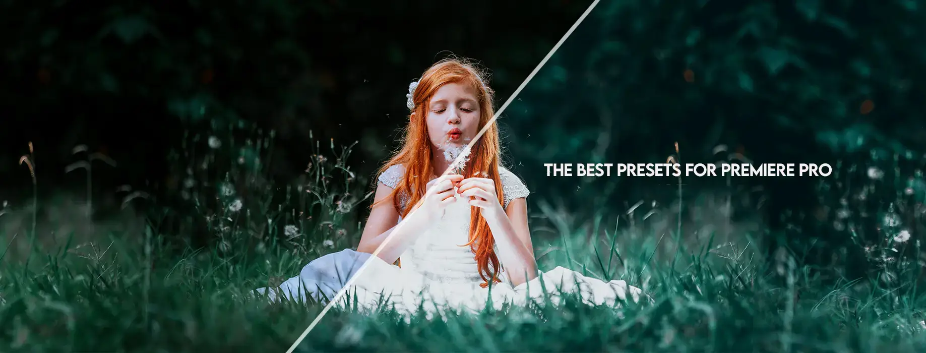 ThebestpresetsforPremierPro